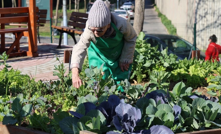 İstanbullular dikkat! 18 yaş üstü için bedava açıklandı