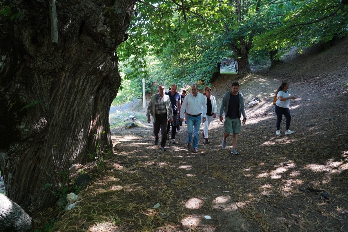 İzmir'de doğa ve kültürü bir arada bulunduran yürüyüş rotası Efeler Yolu'nun Avrupa Konseyi Kültür...