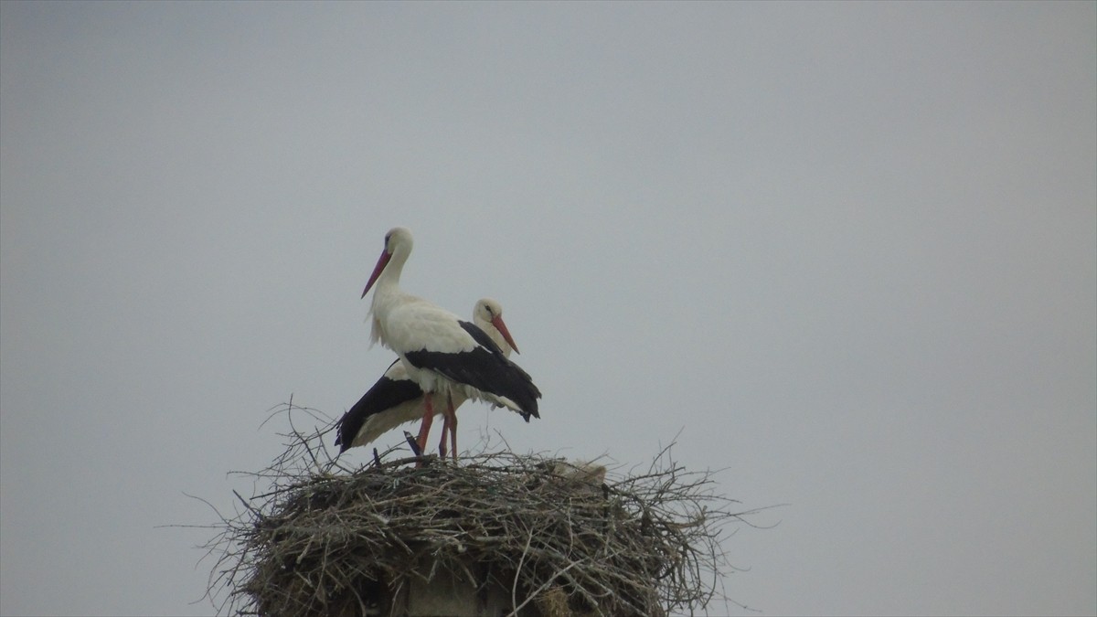 Kahramanmaraş merkezli depremlerde hasar gören Gaziantep'in İslahiye ilçesindeki caminin aleminin...