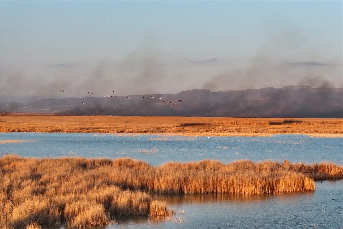 Kayseri'de "kesin korunacak hassas alan" ilan edilen Sultan Sazlığı Milli Parkı'nda yangın çıktı....