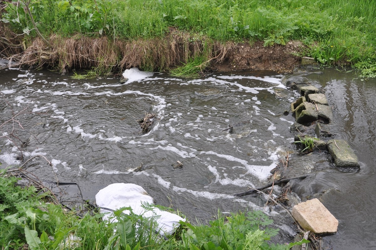 Kırklareli'nin Lüleburgaz ilçesinde Saranlı Deresi'nin kirlilikten rengi değişti. Yıldırım...
