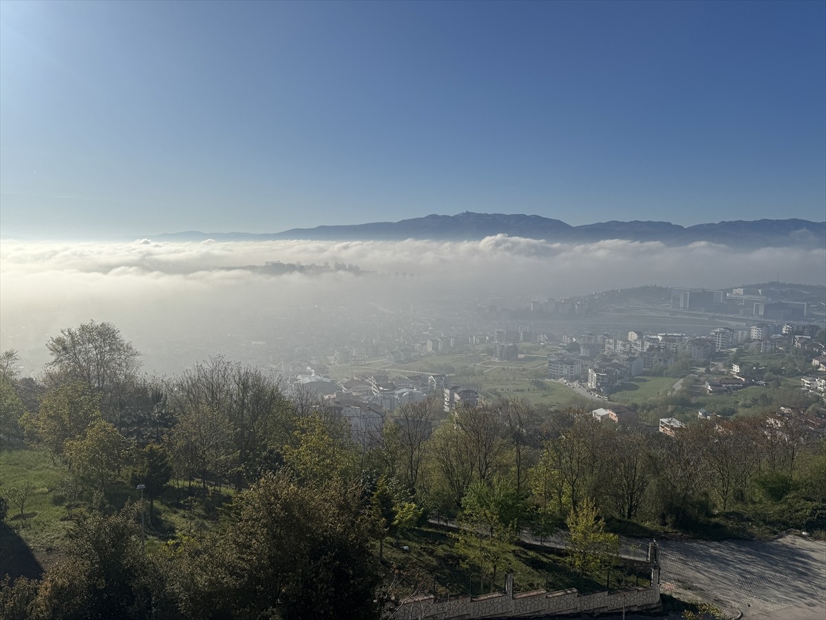 Kocaeli'de sis, şehrin doğu bölümünün üzerini kapladı.