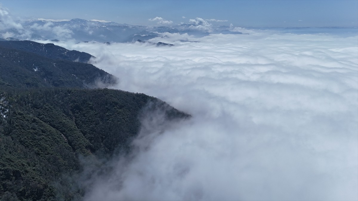 Ordu'nun Altınordu ilçesinde siste güzel manzaralar ortaya çıktı.