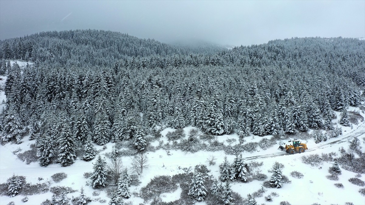 Ordu'nun yüksek kesimlerinde kar etkili oldu. Büyükşehir Belediyesince yağışın ardından kırsal...