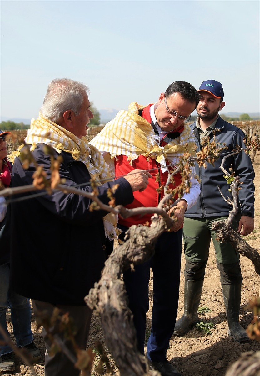 Tarım ve Orman Bakan Yardımcısı Ebubekir Gizligider (ortada), Manisa'nın Saruhanlı ilçelerinde...