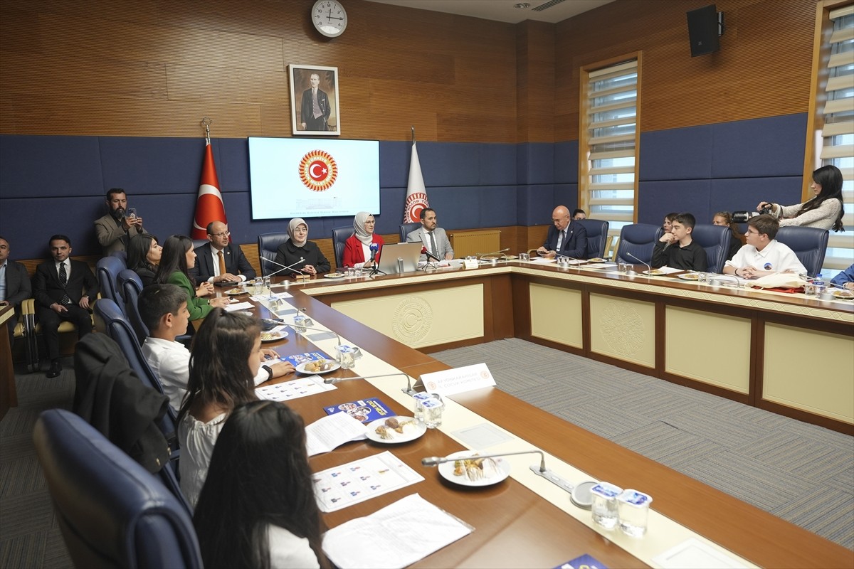 TBMM İnsan Haklarını İnceleme Komisyonu Çocuk Hakları Alt Komisyonu, Konya, Ankara ve...