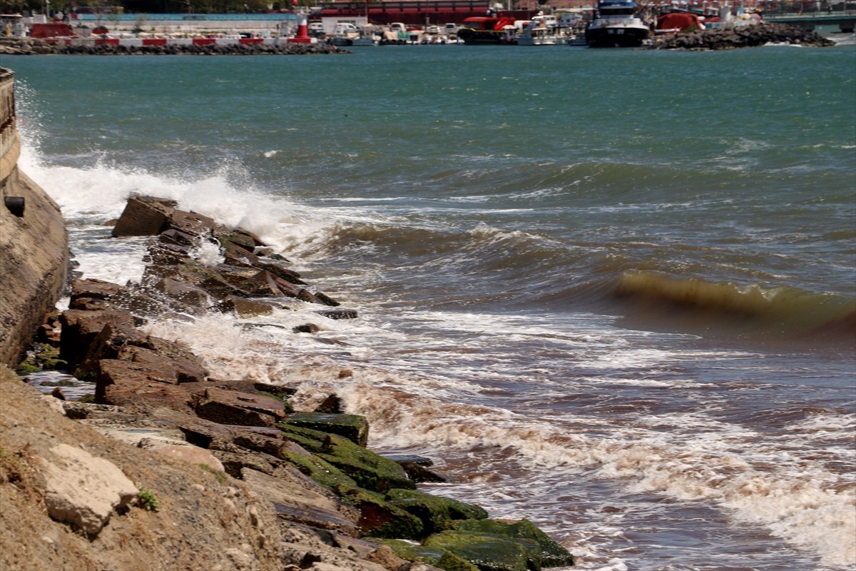 Tekirdağ'da 4 gündür etkili olan poyraz nedeniyle sahilin bazı bölümleri kırmızı yosunla...