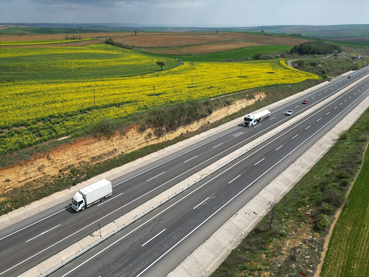 Tekirdağ'da kanolaların çiçek açmasıyla renklenen tarlalar, Tekirdağ-İstanbul kara yolunu kullanan...