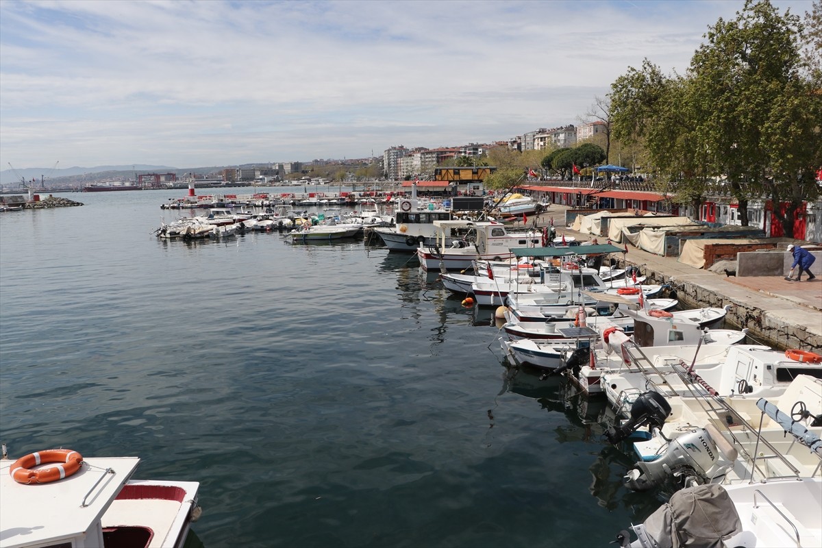 Tekirdağlı balıkçılar Marmara Denizi'nde umduğunu bulamayınca, sezonu Karadeniz'de palamut...