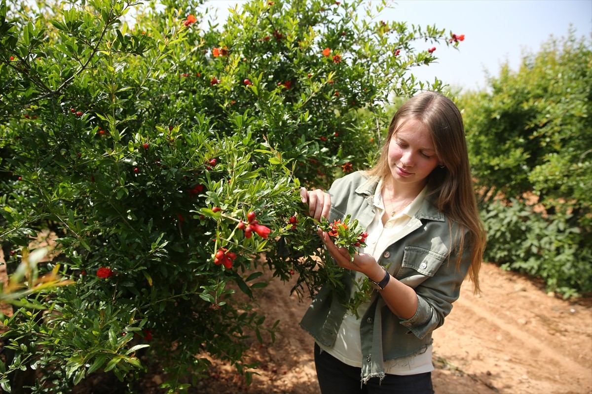 Adana'da tarla ve bahçe ürünleri üretimi yapan Tarım Orman Gençlik Konseyi Üyesi Nihan Işık...