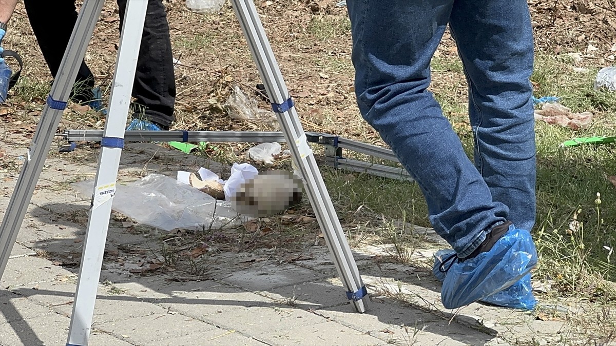 Adana'nın merkez Seyhan ilçesinde çöp konteynerinde bulunan kafatası incelemeye alındı.