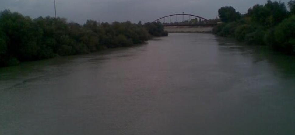 Adana'da adeta SOS alarmı! Ceyhan adeta can çekişiyor