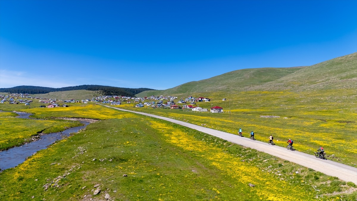 Ardahan'ın Göle ilçesindeki bisiklet tutkunları, çiçeklerle kaplı ovada ve çam ağaçlarıyla çevrili...