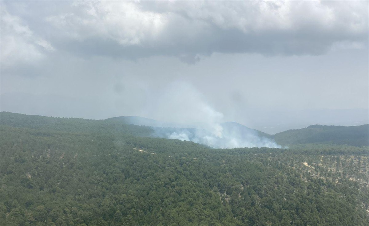 Aydın'ın Bozdoğan ilçesinde çıkan orman yangını, havadan ve karadan müdahaleyle...