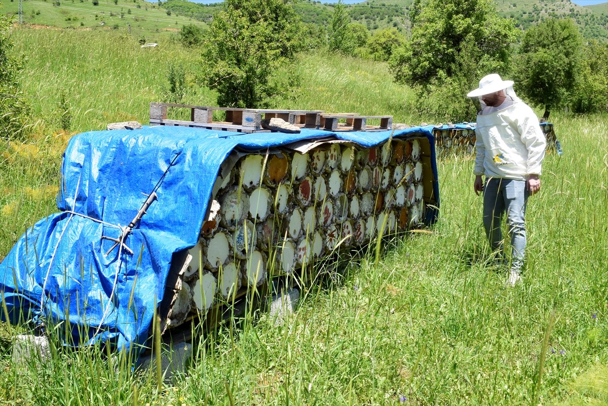 Bitlis'te üretilen bal, Fransa'nın başkenti Paris'te düzenlenen Uluslararası Bal Yarışması'nda iki...