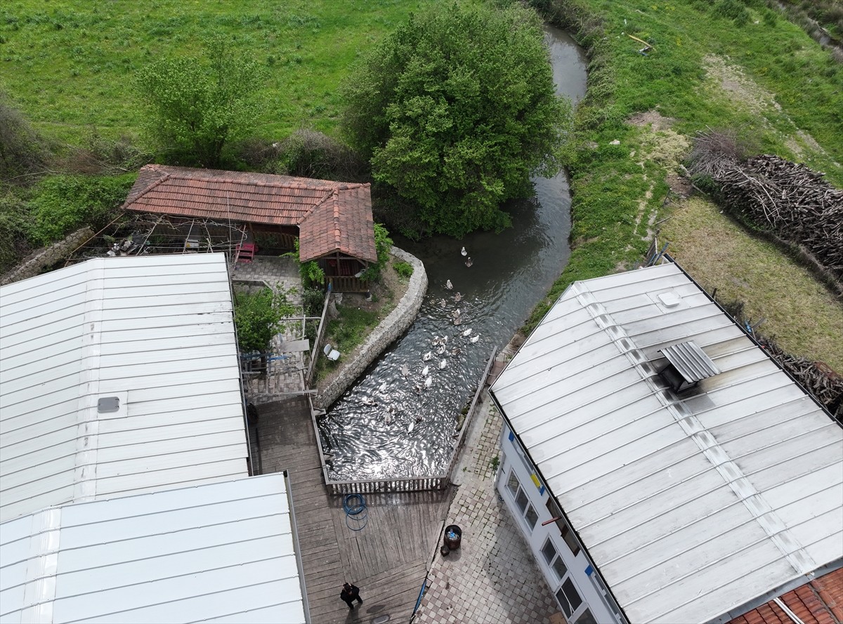 Bursa'da 12 yıl önce sadece duvarları kalan tarihi değirmeni satın alarak yeniden ayağa kaldıran...