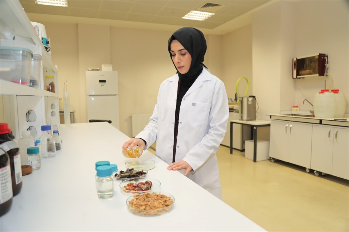 Bursa Teknik Üniversitesince (BTÜ), farklı sektörlerde kullanılabilecek ultraviyole ışınlarına...