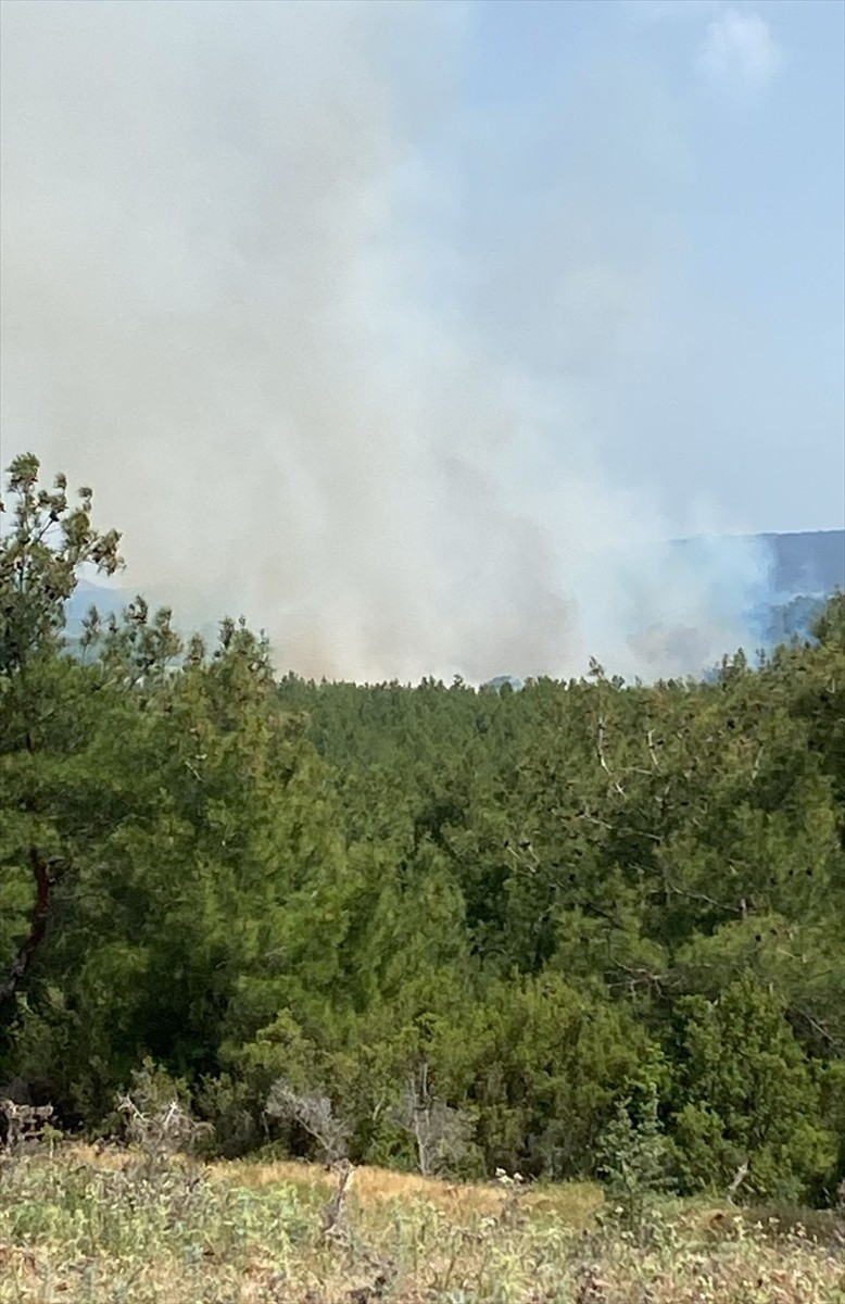 Çanakkale'nin Ezine ilçesinde arazide başlayıp ormana sıçrayan yangın söndürüldü.
