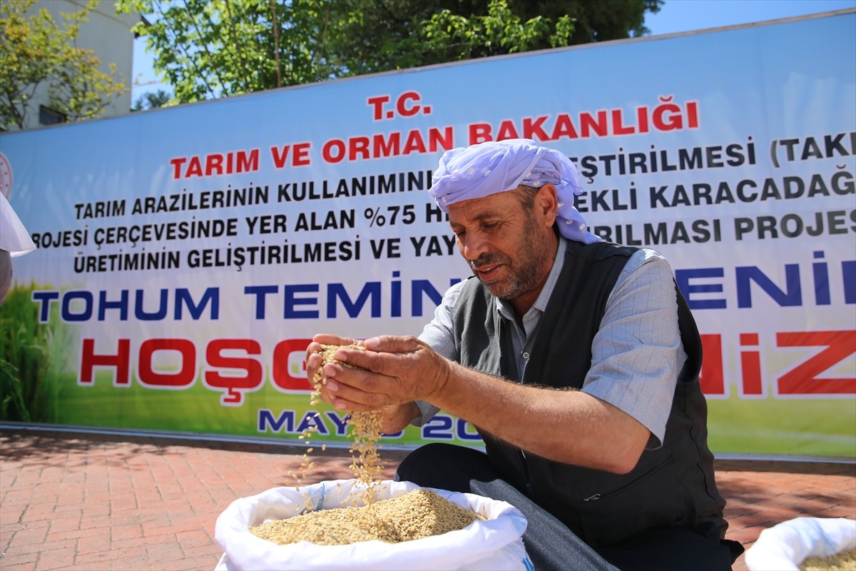 Diyarbakır'da 45 çiftçiye, 27 ton sertifikalı çeltik tohumu desteği sağlanacak. Çiftçiler...