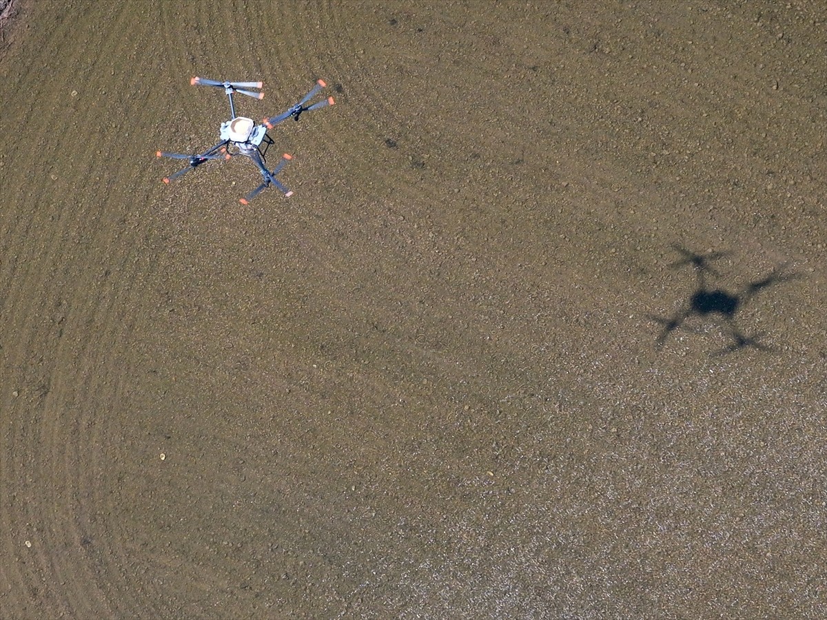 Düzce'de, coğrafi işaretli Konuralp pirincinin ekimi gerçekleştirildi. Ekim törenine Düzce Valisi...