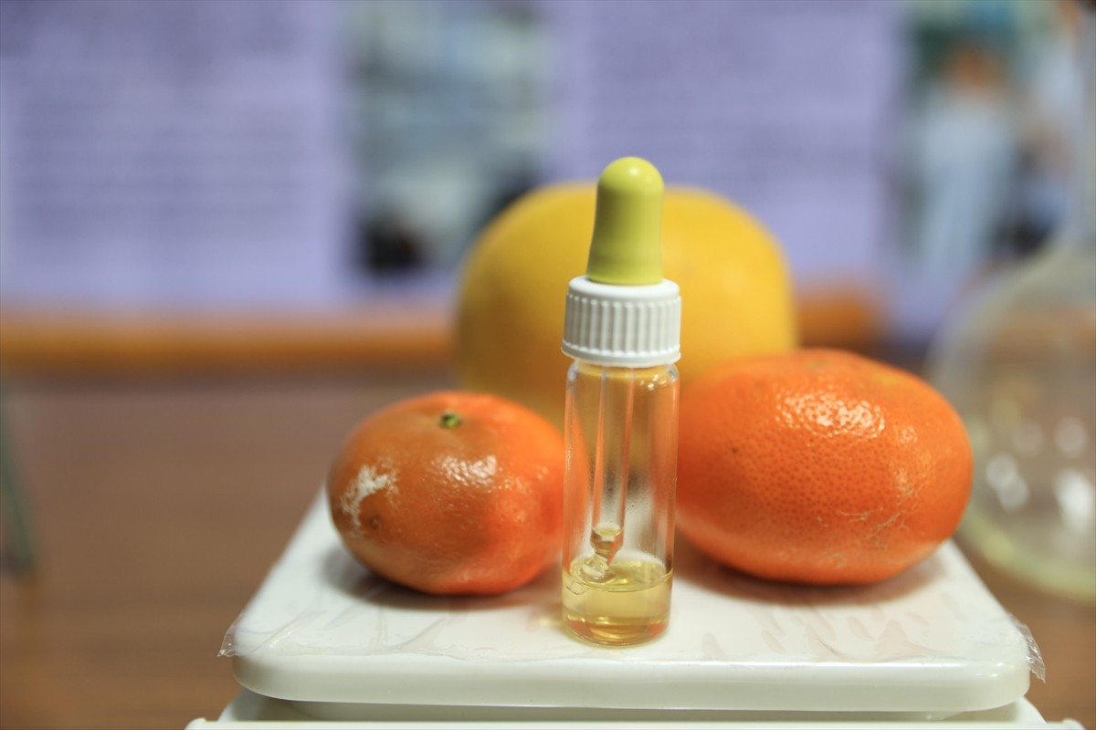 Edirne'de ortaokul öğrencileri greyfurt çekirdeğiyle mandalinan bozulmasını geciktirerek raf...