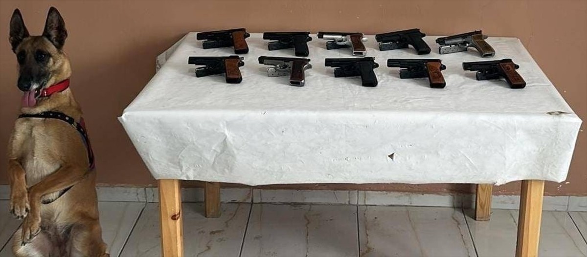 Erzurum'da bomba arama köpeği "Yazı"nın desteğiyle düzenlenen operasyonda 10 ruhsatsız tabanca ele...