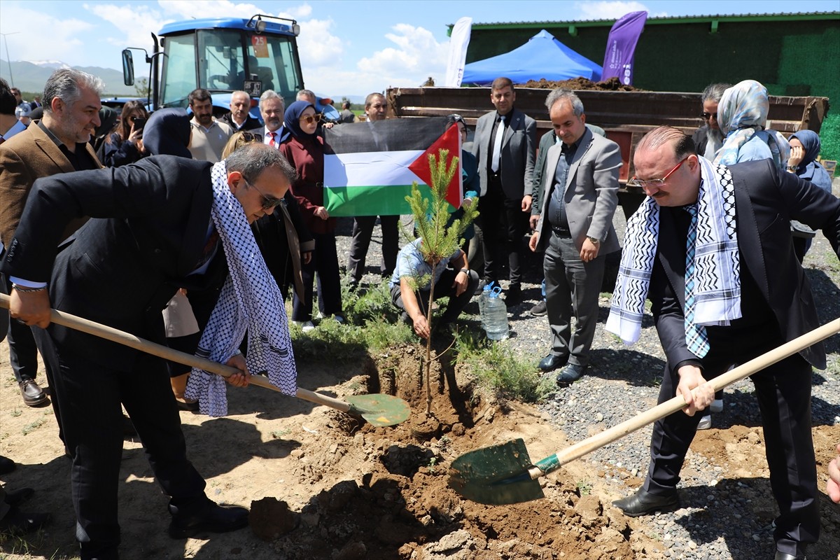 Erzurum'da, Filistin halkının yaşadığı acılara dikkati çekmek ve Gazze için kalıcı bir hatıra...