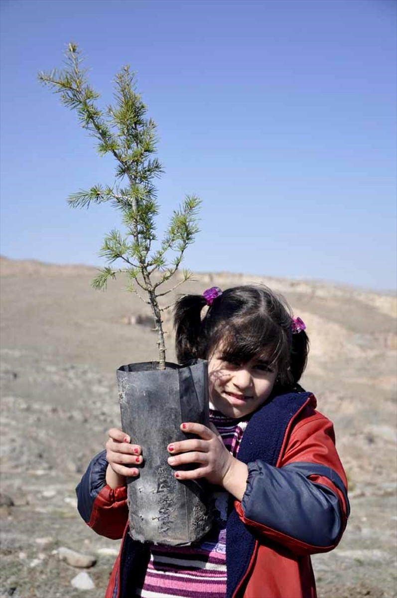 İnsan Hak ve Hürriyetleri (İHH) İnsani Yardım Vakfı, "Her Yetime Bir Fidan" projesinin ilk...