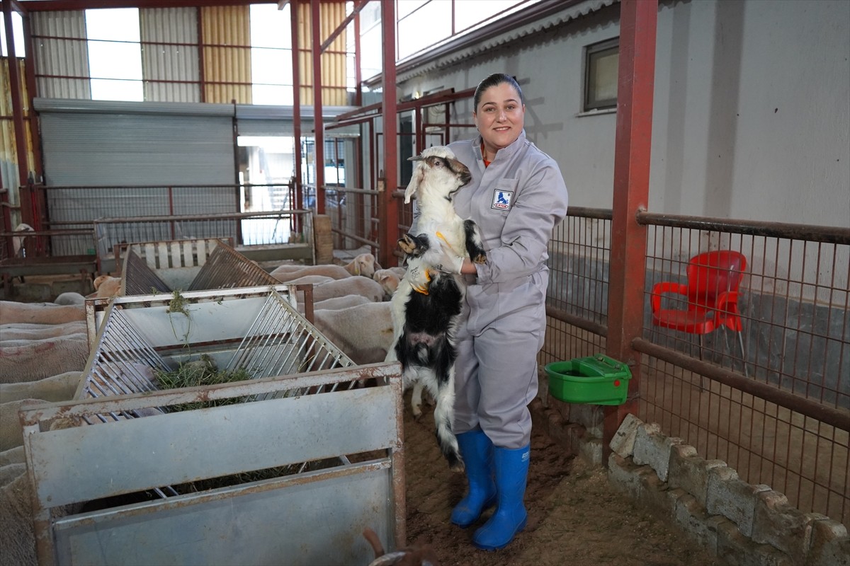 Isparta'da voleybol antrenörlüğü ve hakemliği yapan Tuba Etci, spor alanındaki mesaisinin dışında...