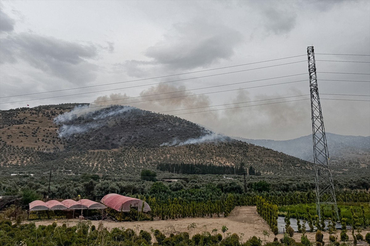 İzmir'in Bayındır ilçesinde zeytinlik alanda çıkan yangın karadan ve havadan müdahaleyle kontrol...