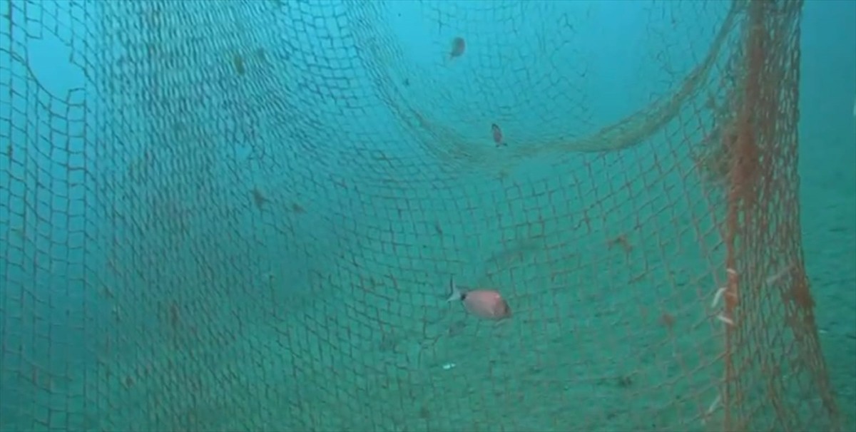 İzmir'in Karaburun ilçesi açıklarında İl Jandarma Komutanlığı Sualtı Arama Kurtarma Timi...