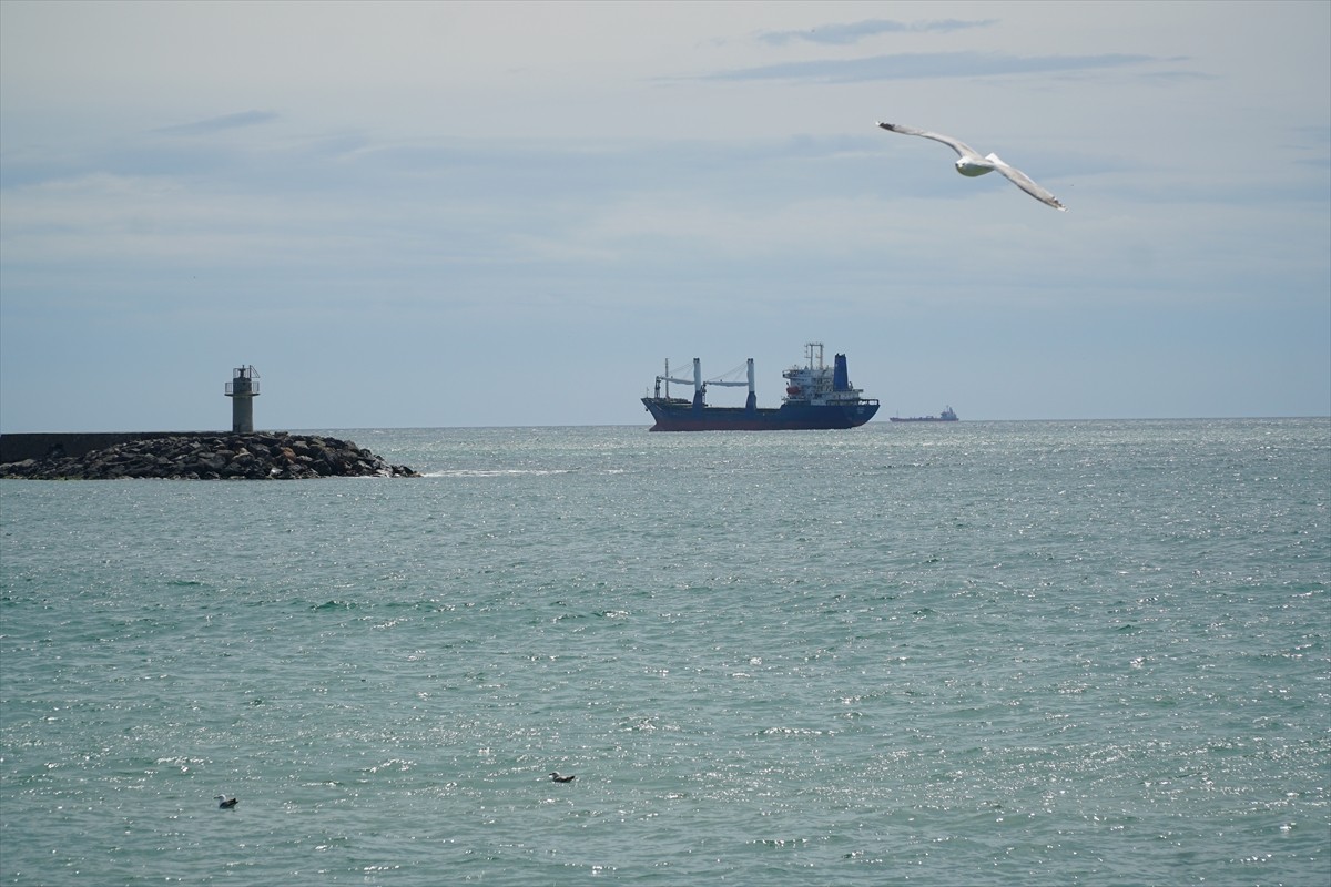 Marmara Denizi'nde 5 gündür etkili olan poyraz, Tekirdağ'da deniz ulaşımında aksamalara neden...