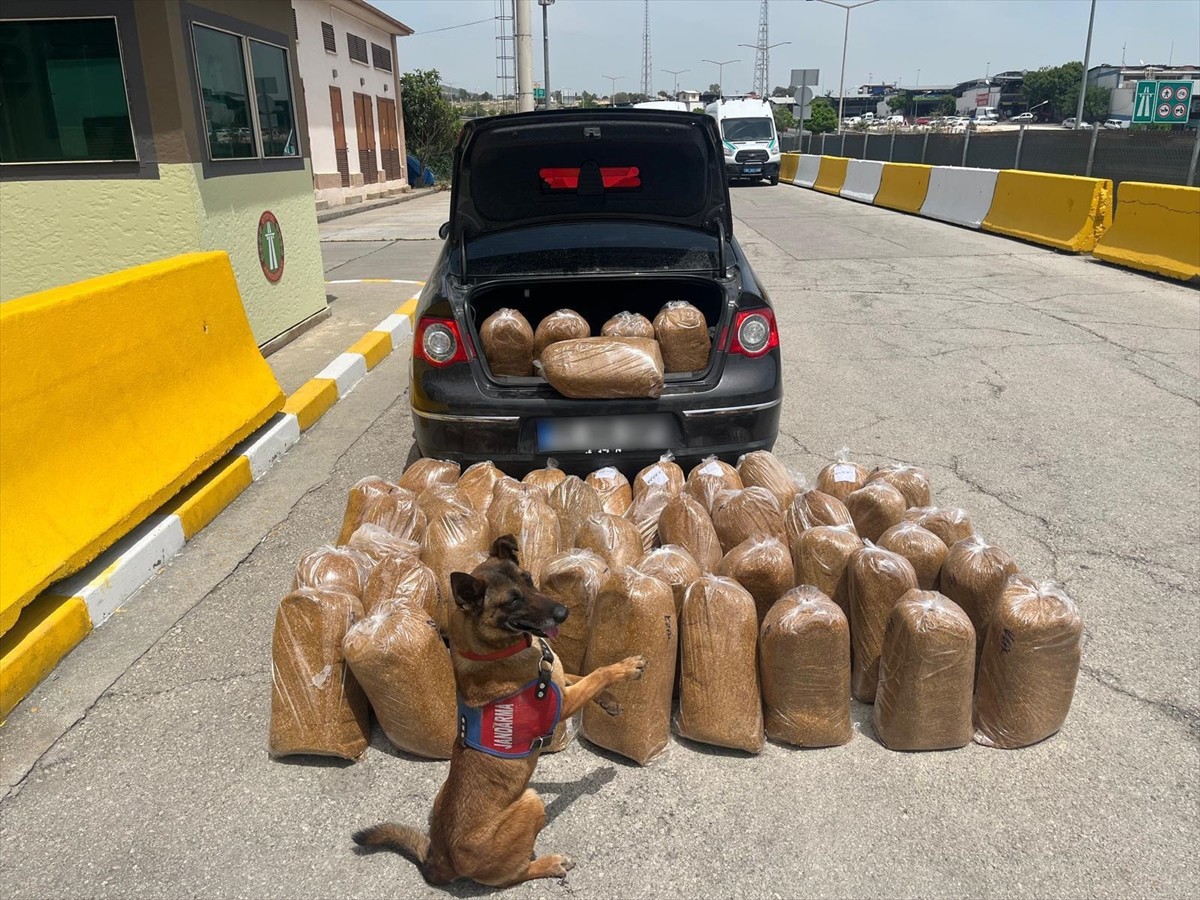 Mersin'de 292 bin 102 makaron (filtreli sigara kağıdı) ve 250 kilogram bandrolsüz tütün ele...