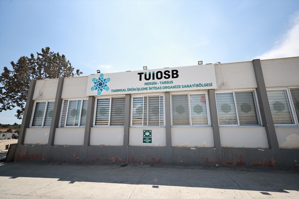 Mersin-Tarsus Tarımsal Ürün İşleme İhtisas Organize Sanayi Bölgesi'nde (TÜİOSB) yıl sonu üretimin...