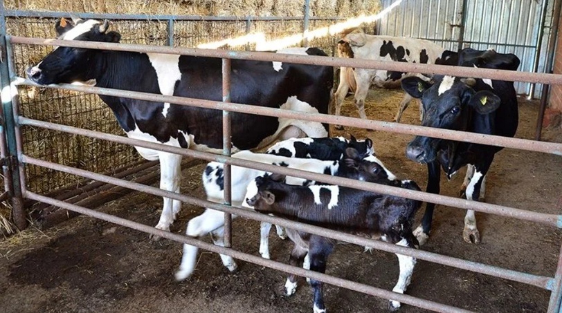 Milyonların beklediği o destek için son çağrı! Başvurular için kritik tarih açıklandı 