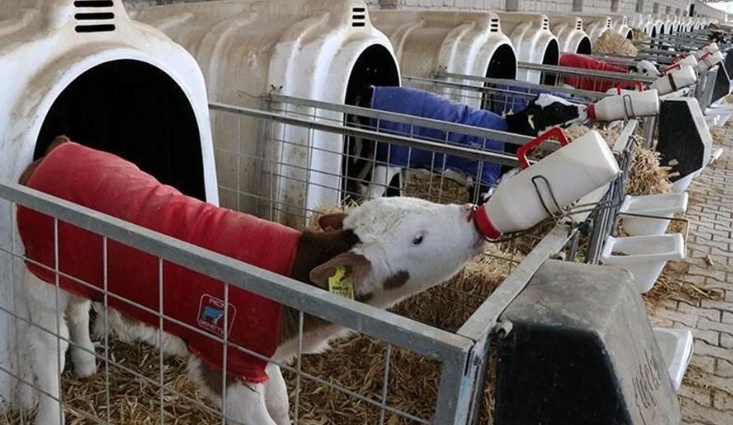 Milyonların beklediği o destek için son çağrı! Başvurular için kritik tarih açıklandı 