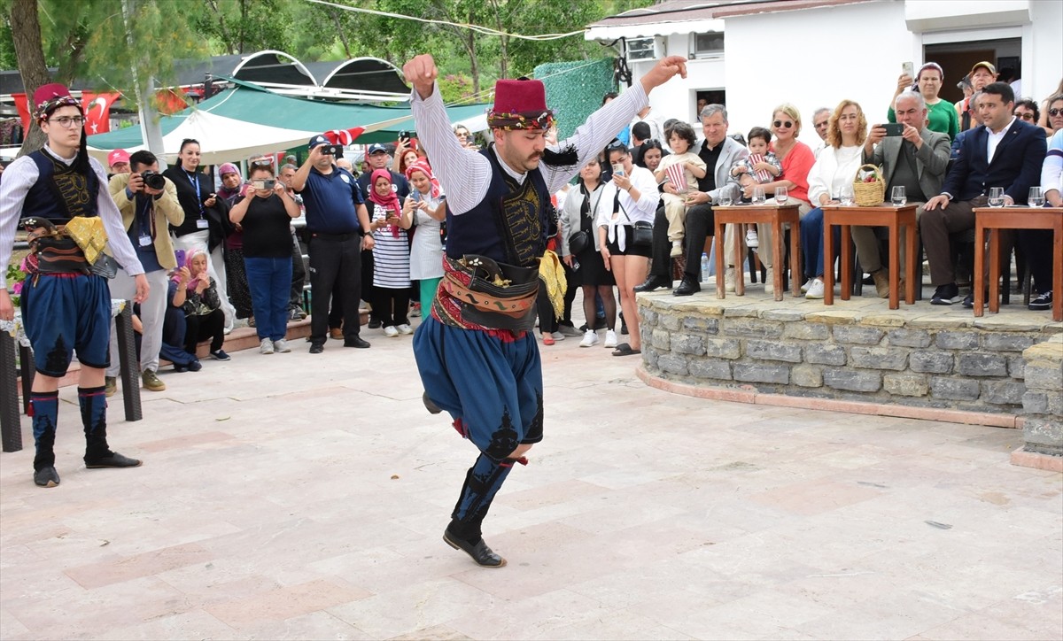 Muğla'nın Bodrum ilçesinde Zeytin Çiçeği Festivali'nin üçüncüsü gerçekleştirildi. Bodrum Kaymakamı...