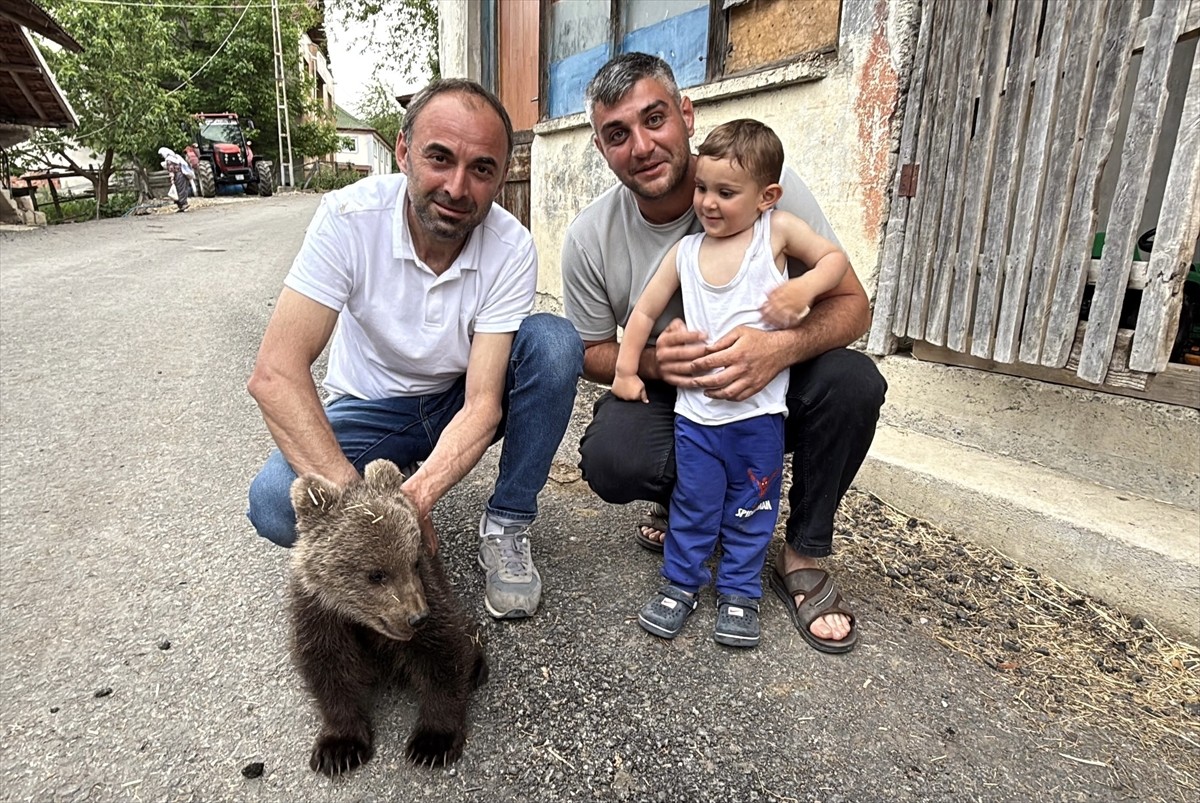 Sinop'ta doğada annesiz ve bitkin bulunan ayı yavrusu Doğa Koruma ve Milli Parklar ekiplerince...