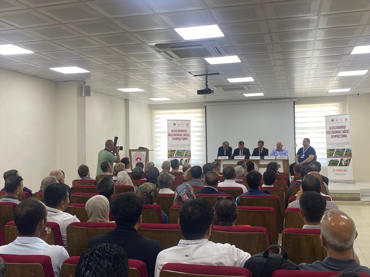 Şırnak Valiliği, Şırnak Üniversitesi ve Güçlükonak Kaymakamlığı ile Güçlükonak ve Fındık beldesi...