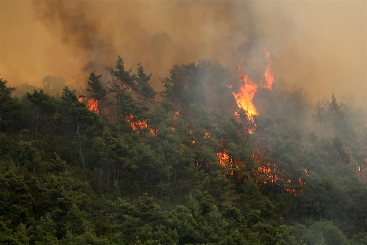 Suriye'nin Lazkiye iline bağlı Bayırbucak bölgesinde 5 Mayıs'ta başlayan orman yangını, söndürme...