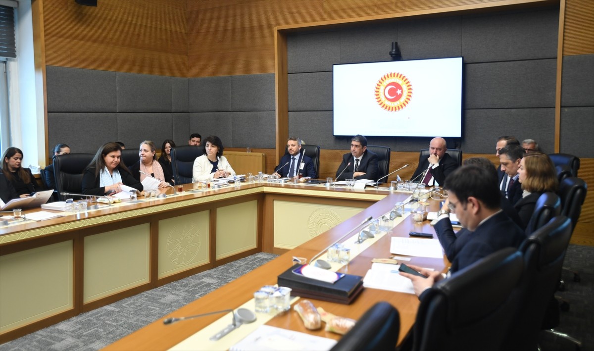 TBMM Kamu İktisadi Teşebbüsleri (KİT) Komisyonunda, Türkiye Kalkınma ve Yatırım Bankası AŞ ile...