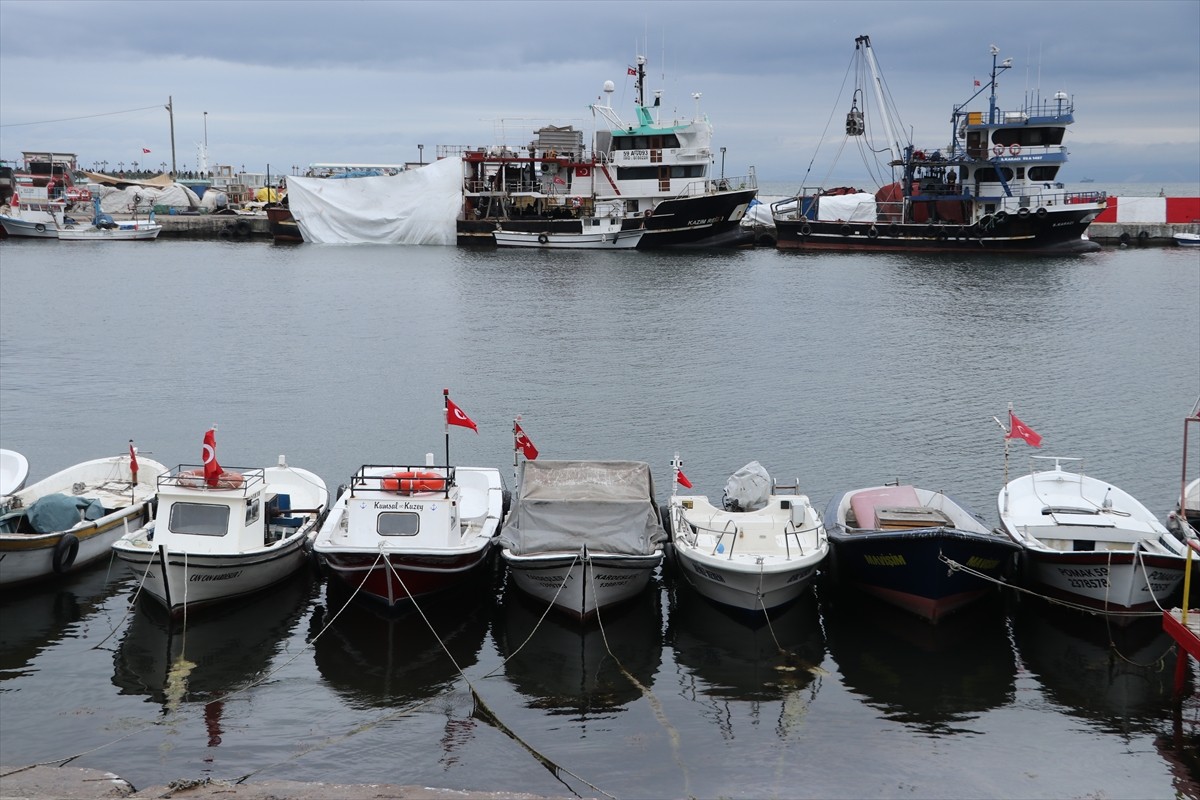 Tekirdağ'da poyraz, deniz ulaşımını olumsuz etkiledi. Şiddetli rüzgar sebebiyle balıkçılar denize...