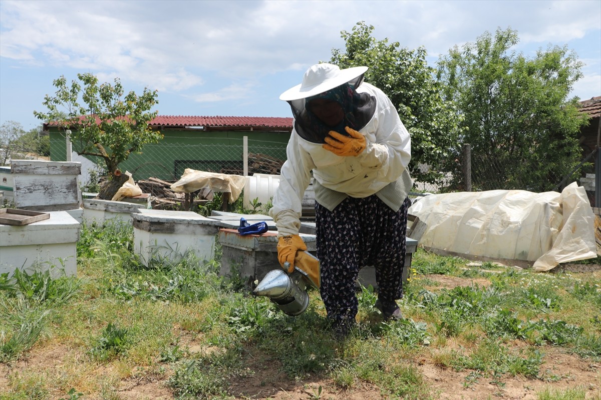 Tekirdağ'ın Ferhadanlı Mahallesi'nde yaşayan 66 yaşındaki Zeynep Günay Tekin, 47 yıldır arıcılık...