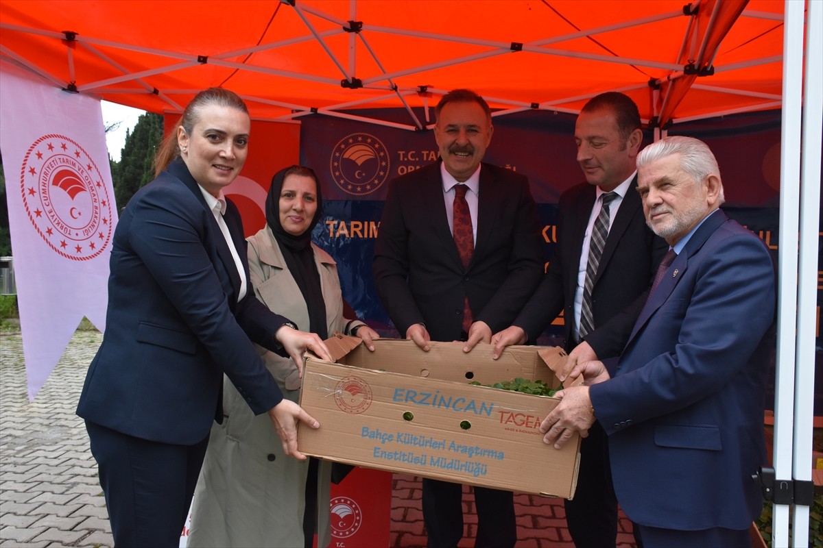 Trabzon Tarım ve Orman Müdürlüğünce "Sebzeciliği Geliştirme Projesi" kapsamında çiftçilere 260 bin...