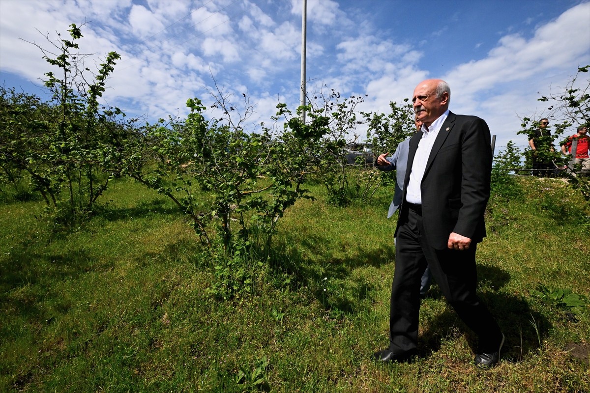 Türkiye Ziraat Odaları Birliği (TZOB) Genel Başkanı Şemsi Bayraktar, Düzce'de zirai dondan...