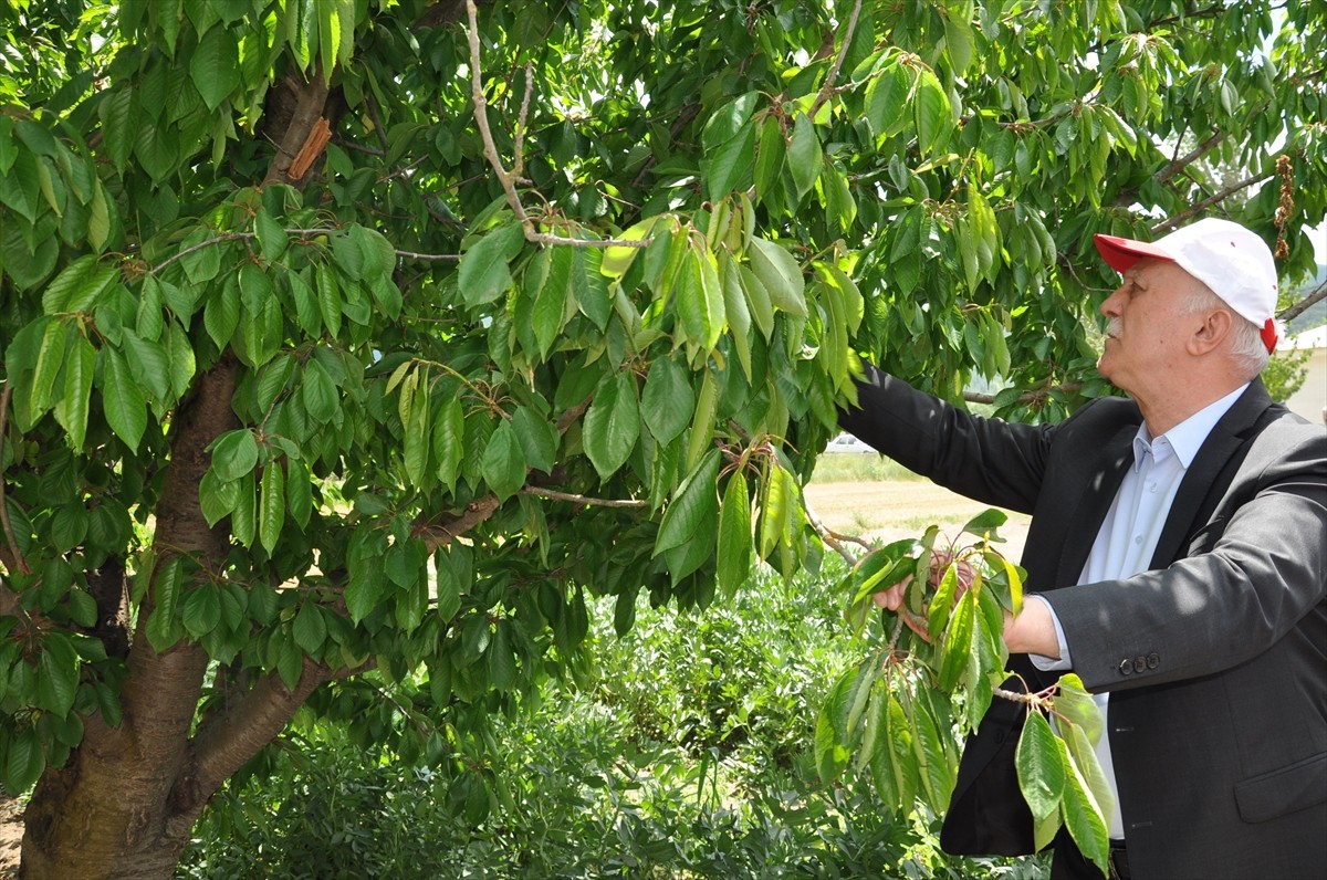 Türkiye Ziraat Odaları Birliği (TZOB) Genel Başkanı Şemsi Bayraktar (sağ 6), Kütahya’da...