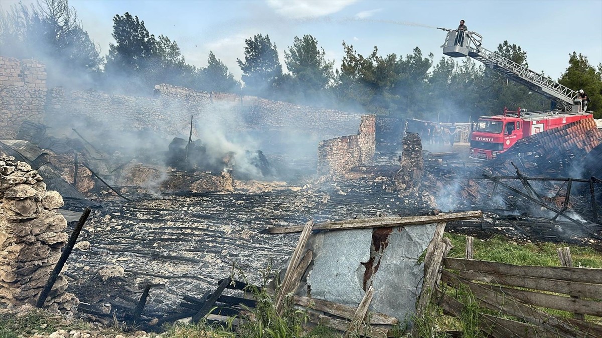 Uşak'ın Ulubey ilçesinde ahırda çıkan yangında 54 kuzu telef oldu.