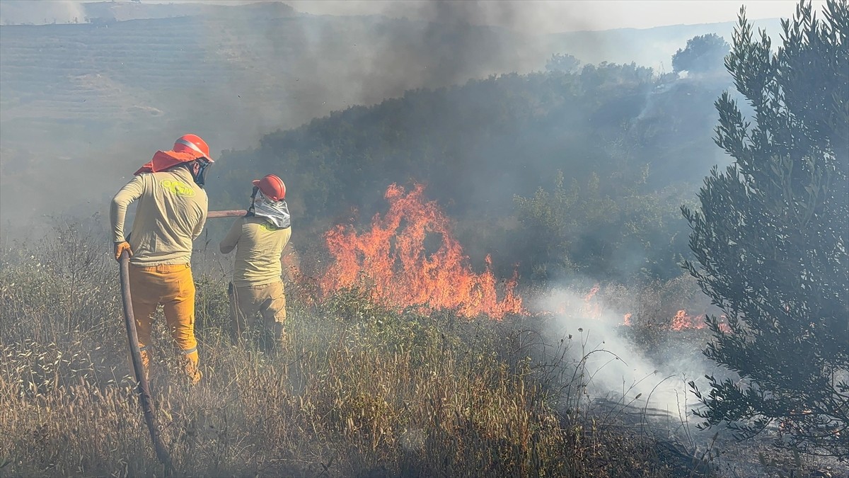 Adana'nın Çukurova ilçesinde tarladan ormana sıçrayan yangın havadan ve karadan müdahaleyle...