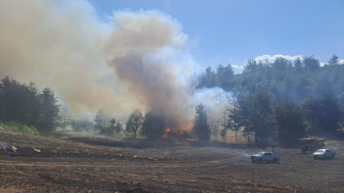Adana'nın Kozan ilçesinde ormanlık alanda çıkan yangına havadan ve karadan müdahale ediliyor.