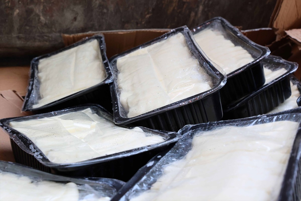 Antalya'da uygun koşullar sağlanmadan şehirler arası otobüsle taşınan 700 kilogram peynir ele...